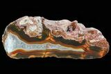 Beautiful Condor Agate From Argentina - Cut/Polished Face #79455-1